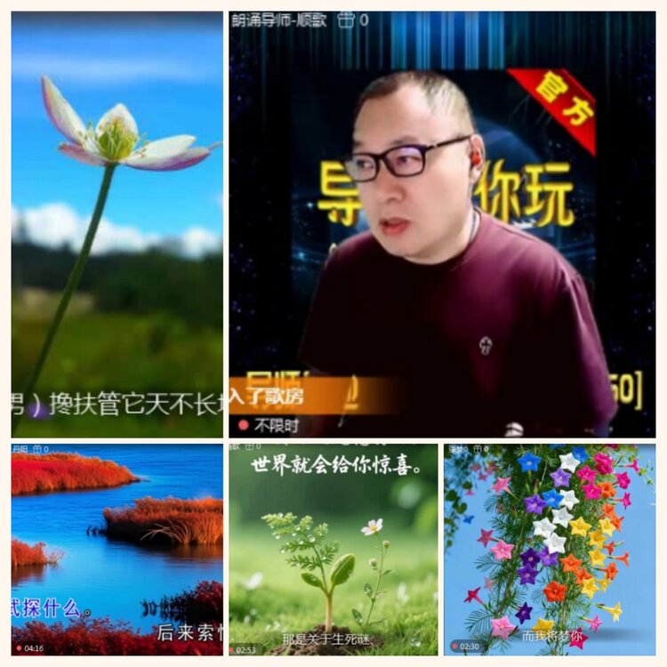 落雪🎤V娱热点