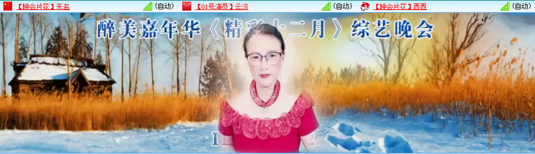 无言🎤V娱热点