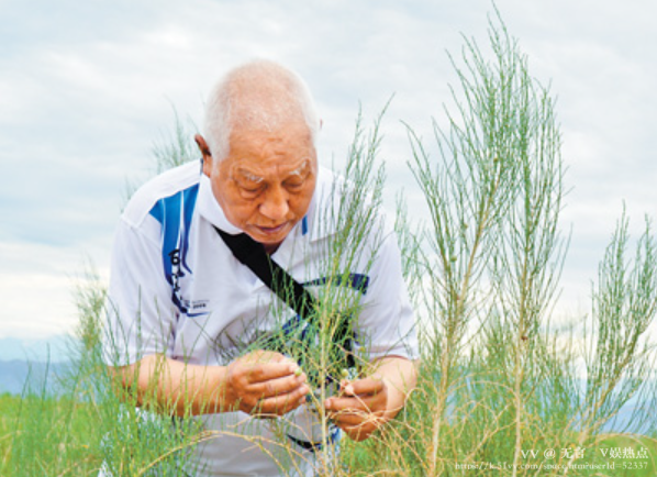 无言🎤V娱热点