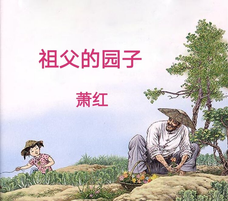 缘子