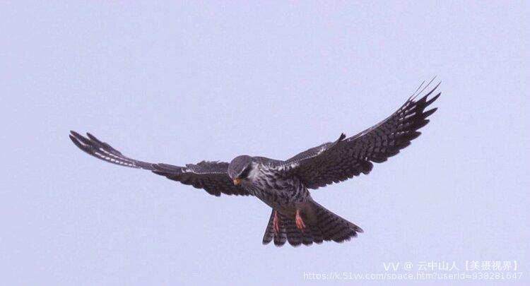 云中山人【美摄视界】