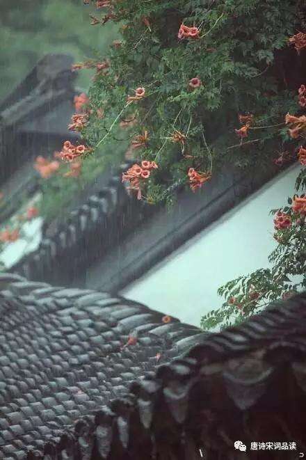 飞机模型