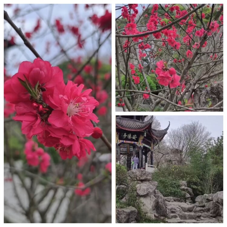 云中云🎤V娱热点