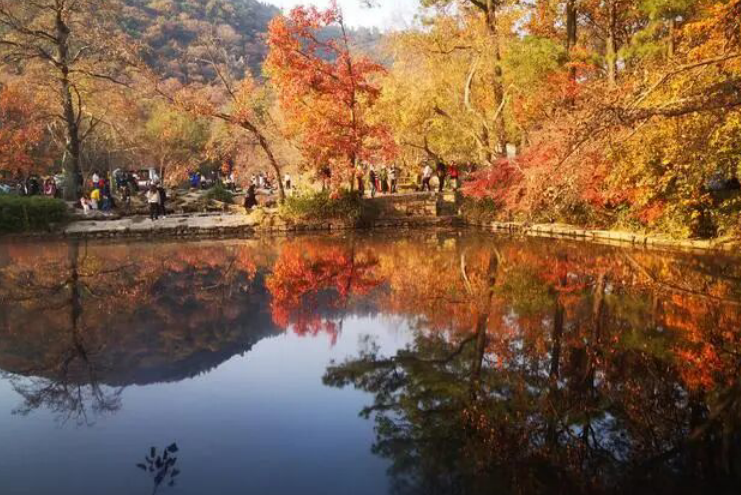 雪儿🎤V娱热点