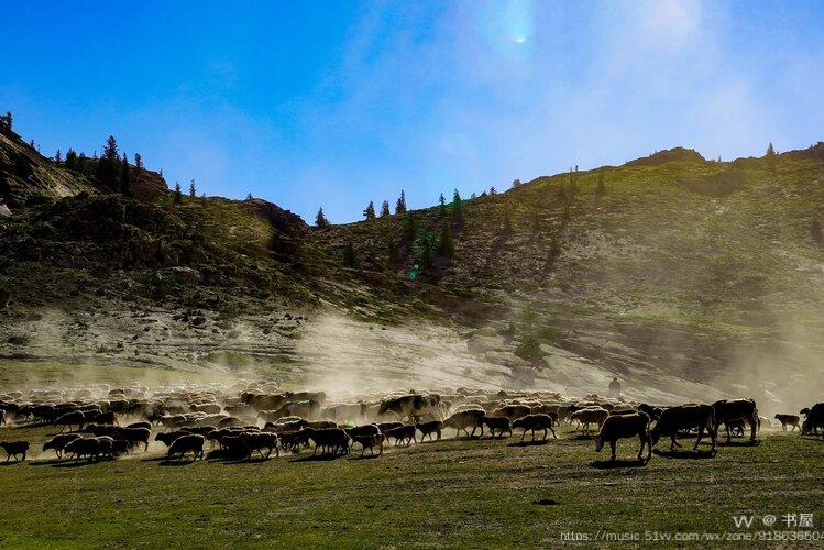 可可托海牧羊群