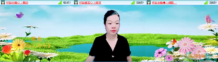 无言🎤V娱热点