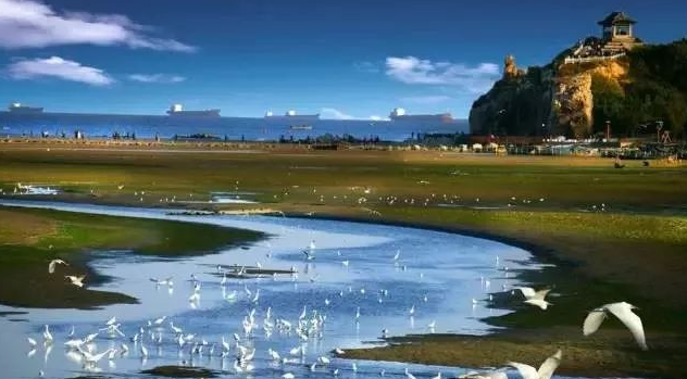 雪儿🎤V娱热点