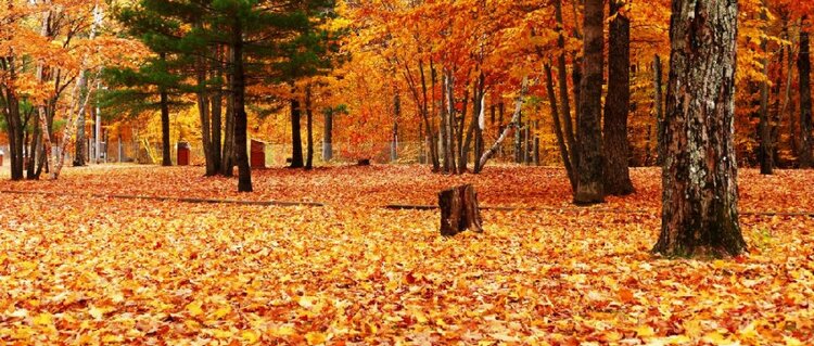 曾经🎤V娱热点