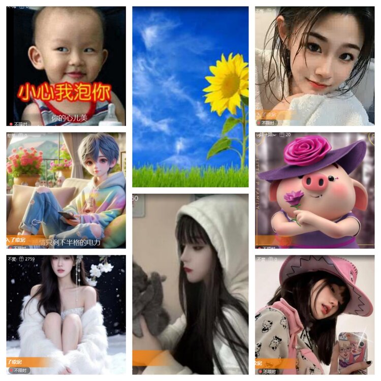 海燕🎤V娱热点