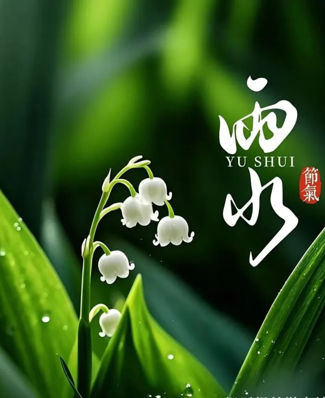 飘雪🎤V娱热点