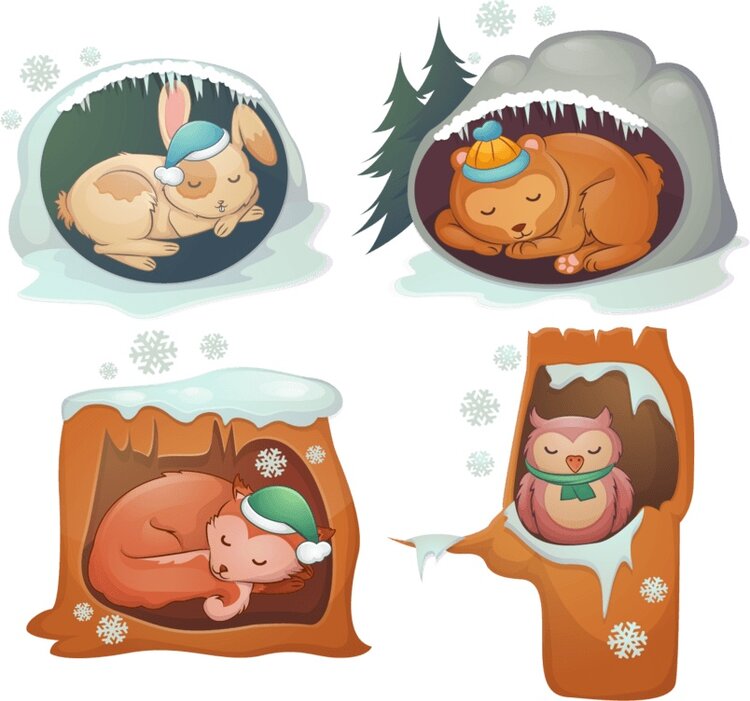 冬眠的动物绘本ppt图片