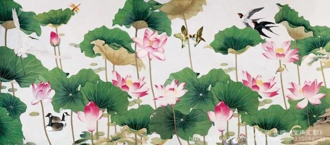 舍得《文声汇影》