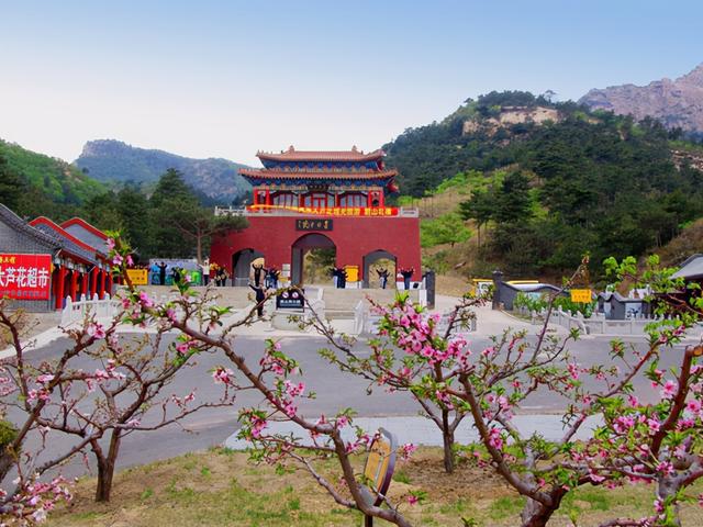 北镇大芦花黑马