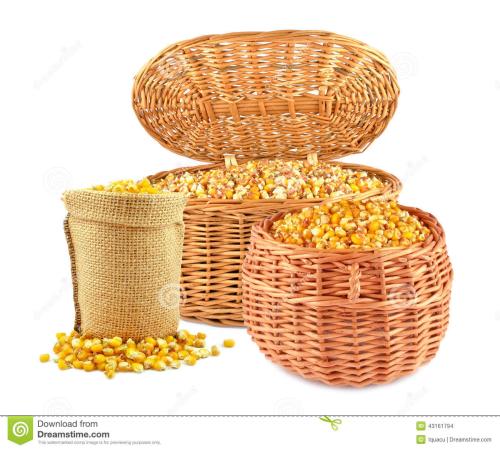 〖中国音院〗学员天使