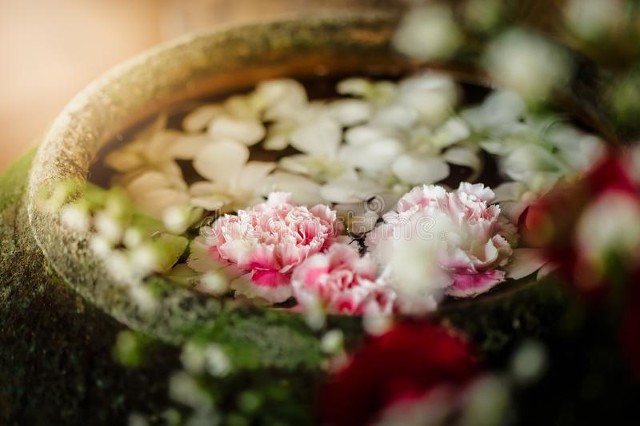 小浅🎤V娱热点