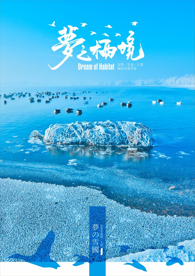 大洲🌞