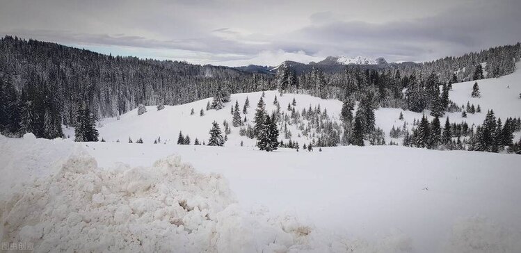 曾经🎤V娱热点