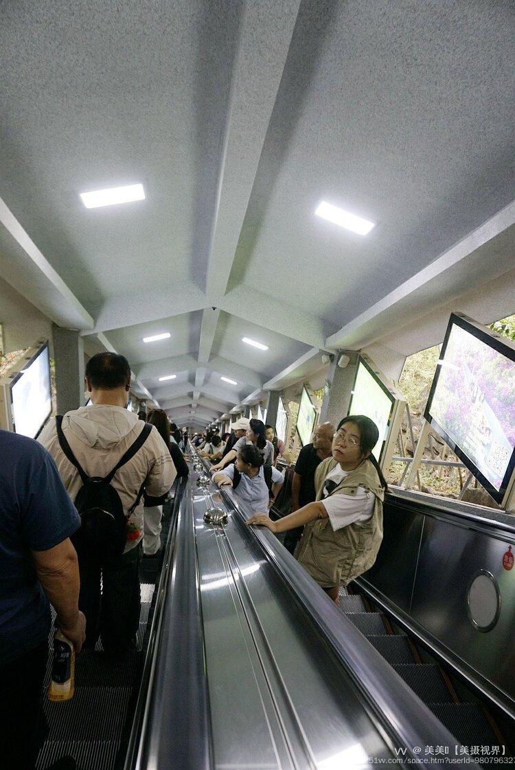 美美🍃【美摄视界】