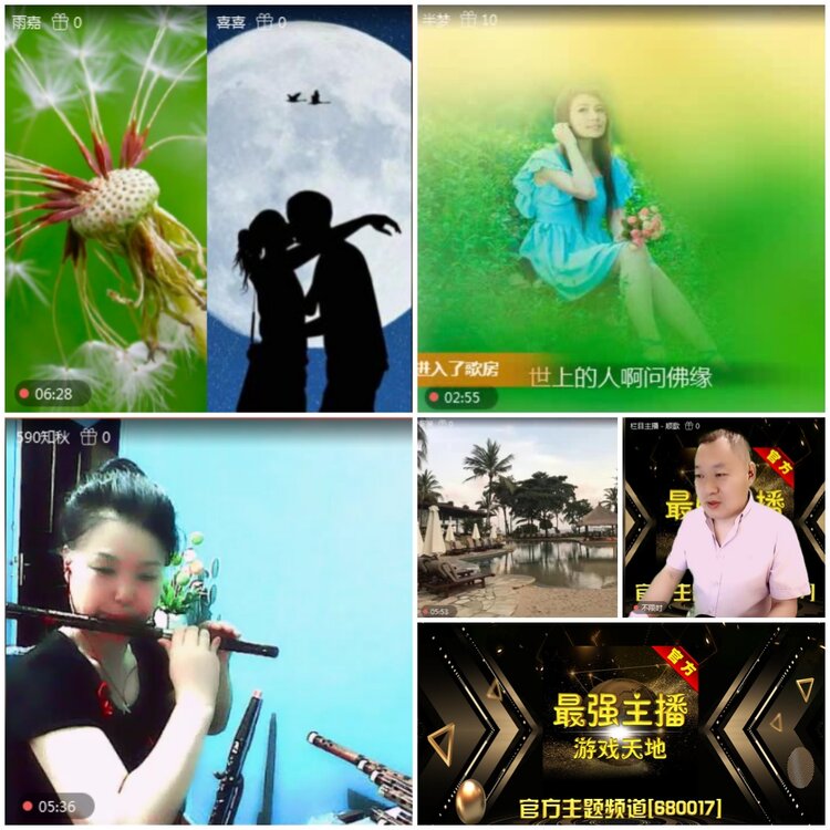 无言🎤V娱热点