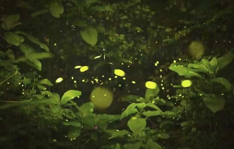 海燕🎤V娱热点