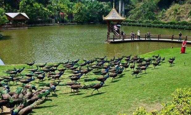 雪儿🎤V娱热点