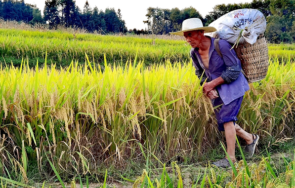 雪儿🎤V娱热点