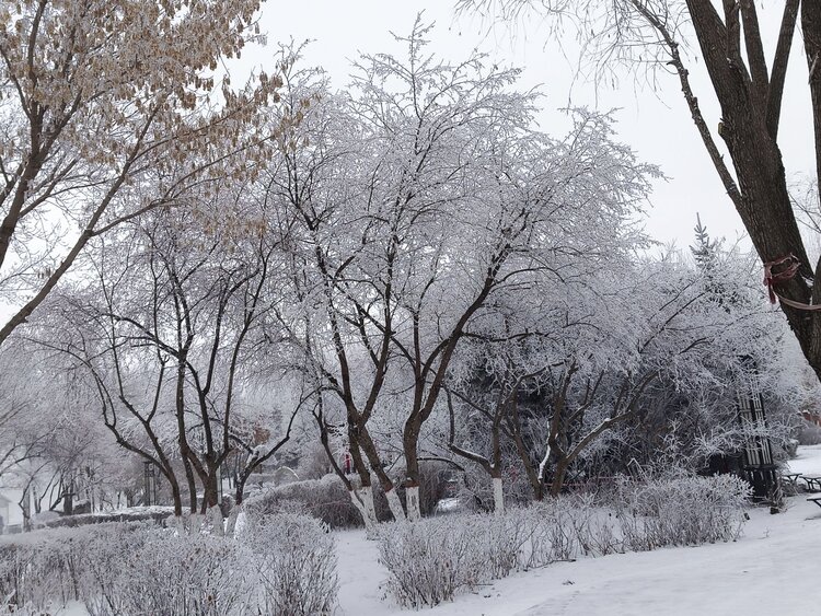 雪儿🎤V娱热点