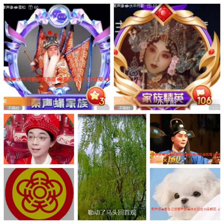 静一静🎤V娱热点