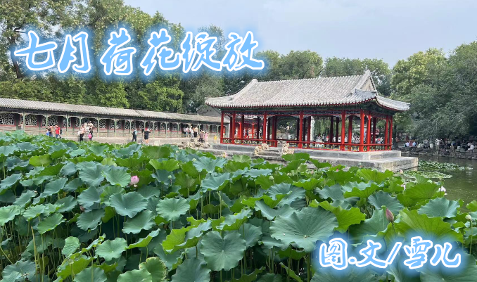 雪儿🎤V娱热点