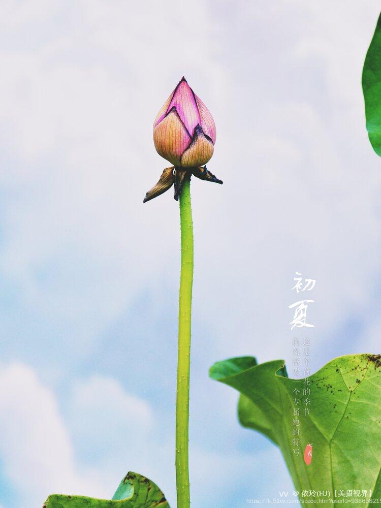 依玲(HJ)【美摄视界】