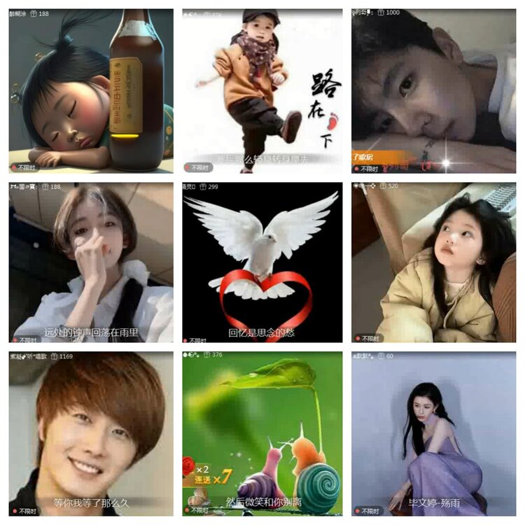 海燕🎤V娱热点