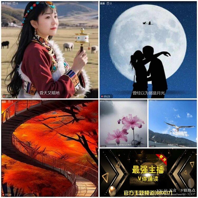 无言🎤V娱热点