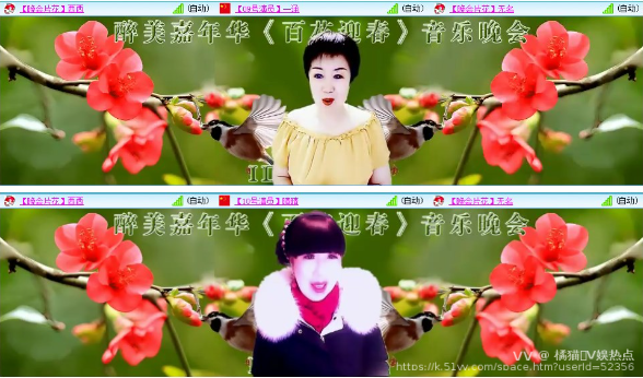 橘猫🎤V娱热点