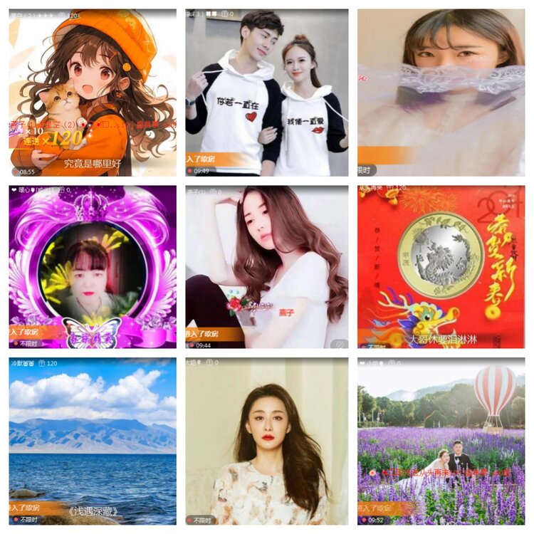 海燕🎤V娱热点