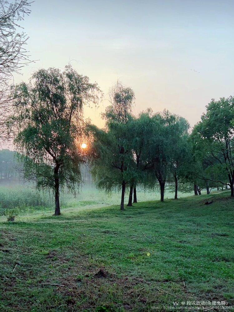 粒说歆语(余拙免聊）