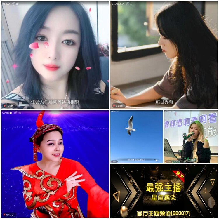 无言🎤V娱热点