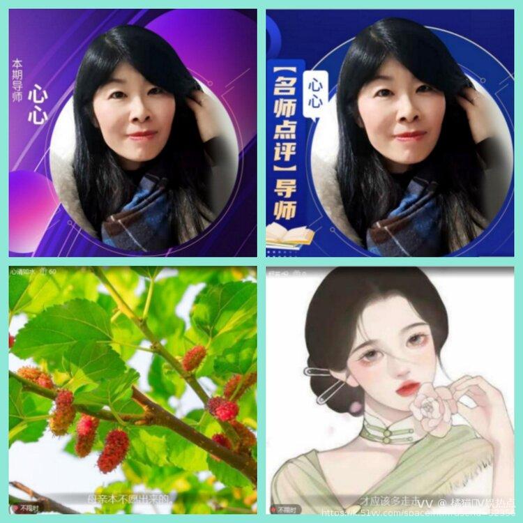 橘猫🎤V娱热点