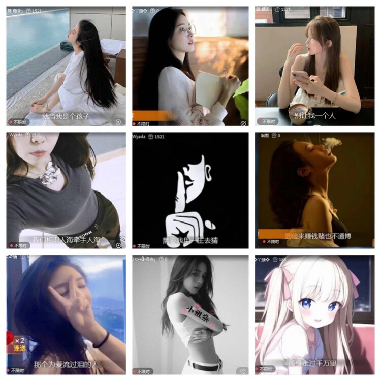 海燕🎤V娱热点