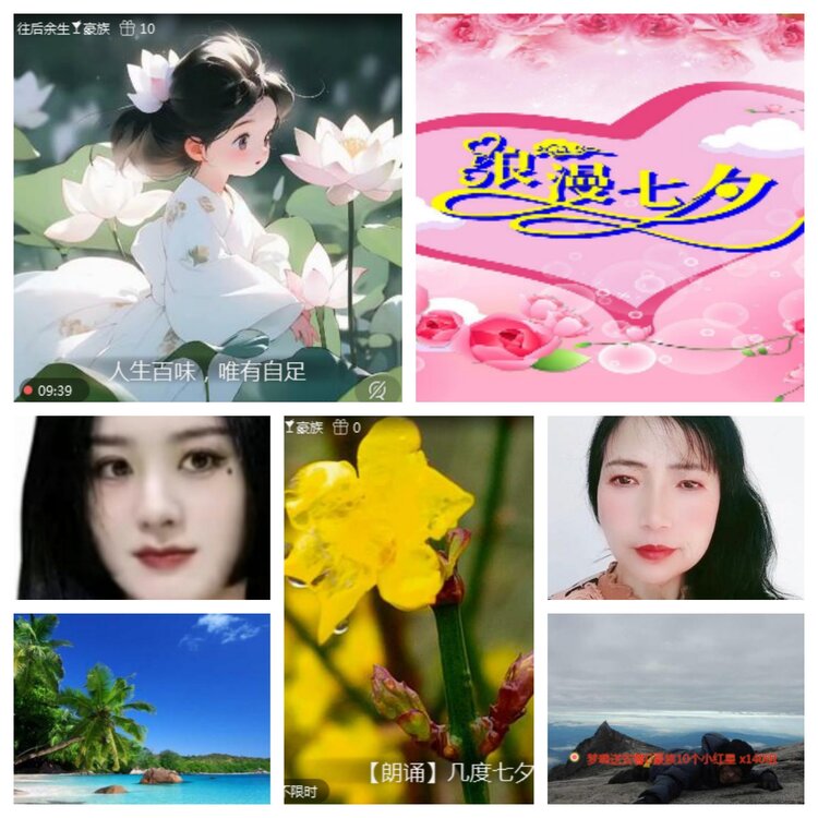海燕🎤V娱热点