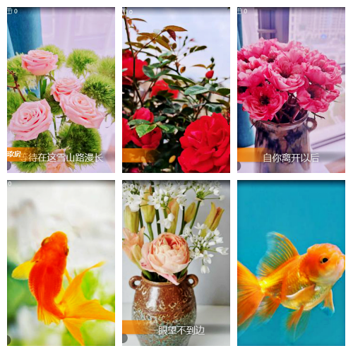 芯薇🎤V娱热点