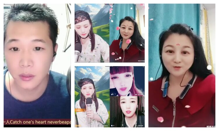 海燕🎤V娱热点