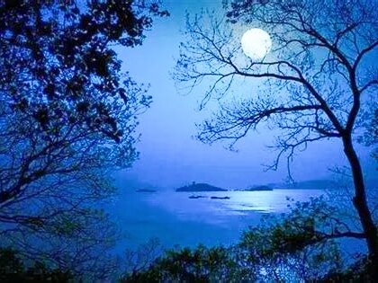 ✨💦娟子💦✨