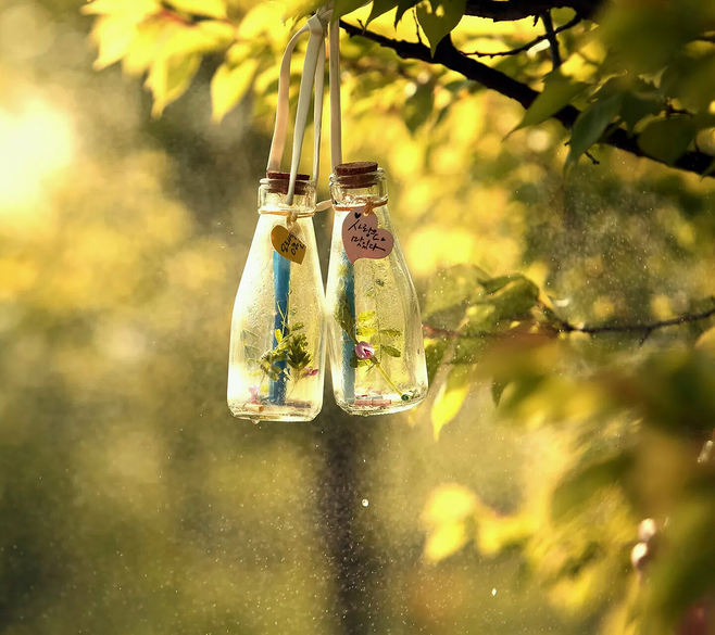 【朗诵专区】心愿