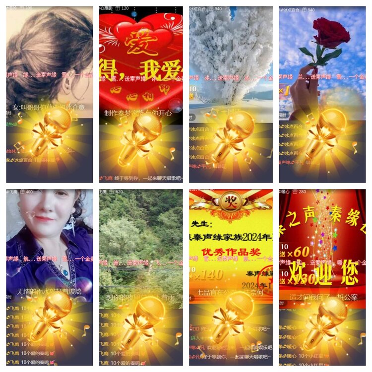 海燕🎤V娱热点