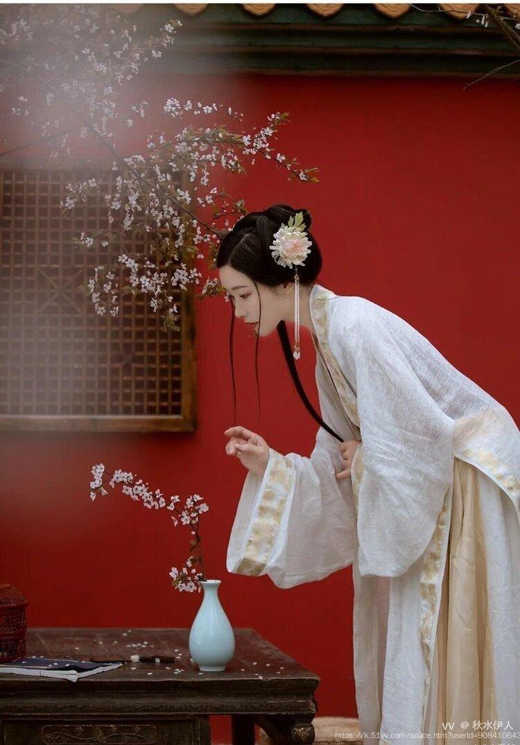 秋水伊人