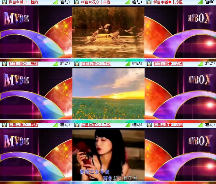 海燕🎤V娱热点