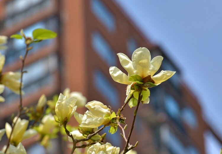 北京黄爷【美摄视界】