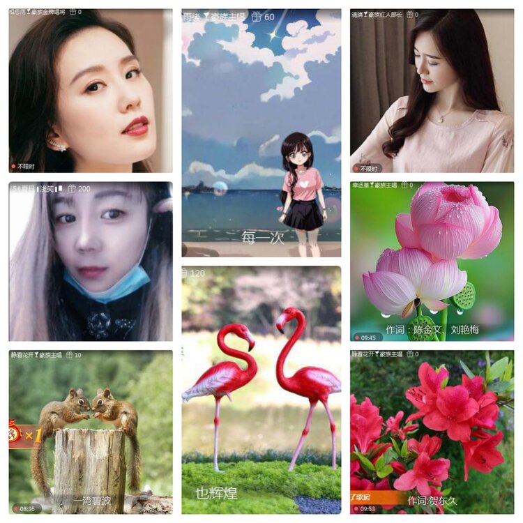 海燕🎤V娱热点