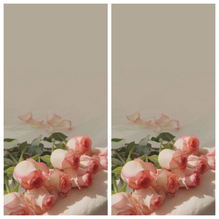 小浅🎤V娱热点