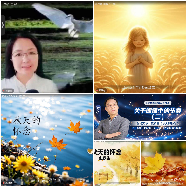 无言🎤V娱热点